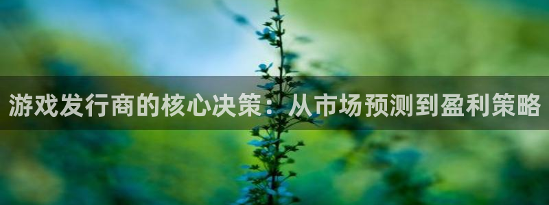 bbin视讯电子商务有限公司怎么样：游戏发行商的核心决策：从市场预测到盈利策略