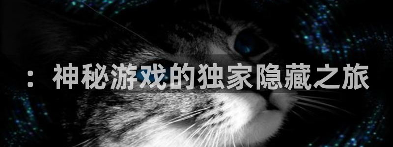 bbin视讯官网挂机项目怎么样可靠吗：：神秘游戏的独家隐藏之旅