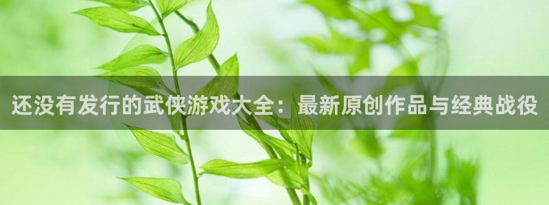 bbin视讯官网注册平台怎么样：还没有发行的武侠游戏大全：最新原创作品与经典战役