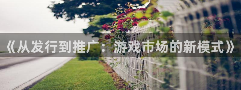 陕西bbin视讯子文化公司加我qq：《从发行到推广：游戏市场的新模式》