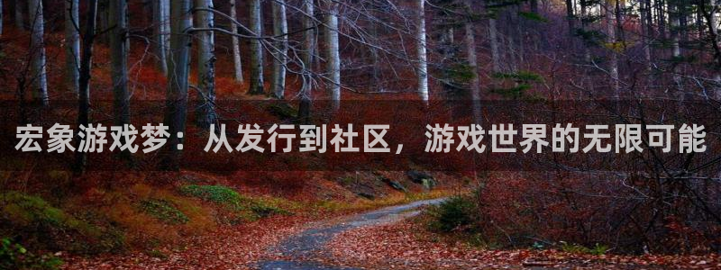 bbin视讯官网挂机项目怎么样：宏象游戏梦：从发行到社区，游戏世界的无限可能