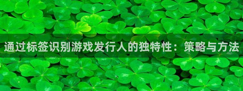 bbin视讯官网注册地址：通过标签识别游戏发行人的独特性：策略与方法