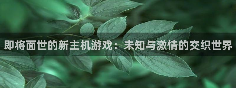 bbin视讯子上市