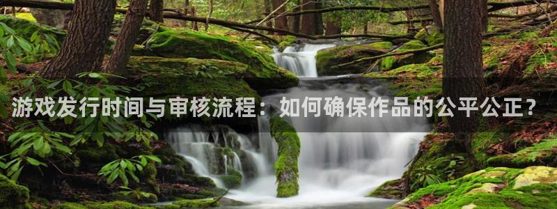 bbin视讯官网官网注册账号密码：游戏发行时间与审核流程：如何确保作品的公平公正？