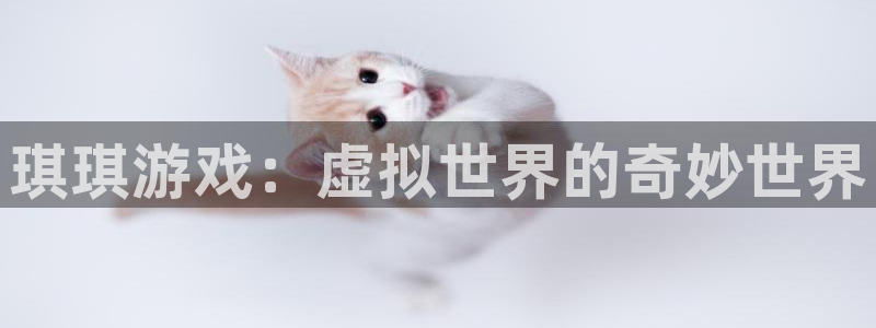 bbin视讯涂料(北京)有限公司：琪琪游戏：虚拟世界的奇妙世界