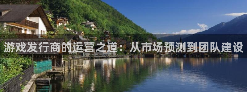bbin视讯智邦(北京)品牌策划有限公司：游戏发行商的运营之道：从市场预测到团队建设