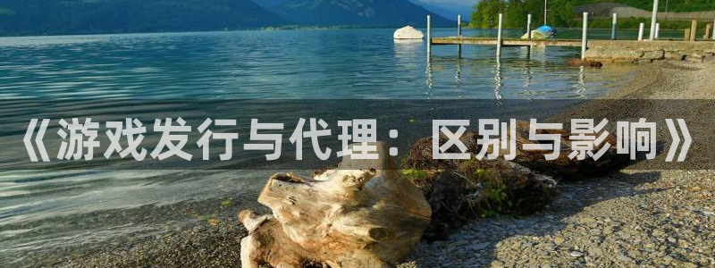 bbin视讯官网平台代理开号是真的吗：《游戏发行与代理：区别与影响》