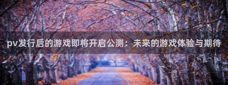 bbin视讯官网游戏：pv发行后的游戏即将开启公测：未来的游戏体验与期待