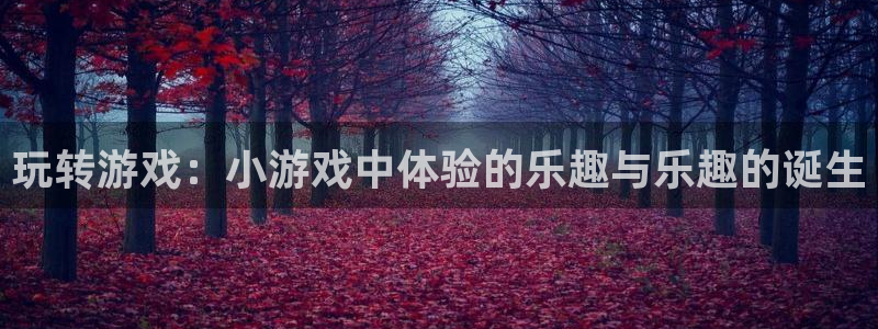 bbin视讯科技股票