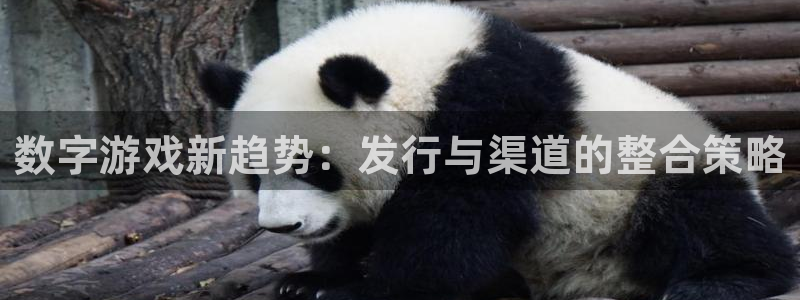 bbin视讯官网客服